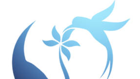 RANDOSSAGE_logo ok