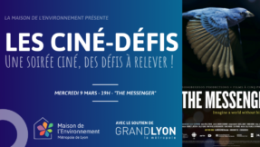 CINEDEFIS_facebookcover