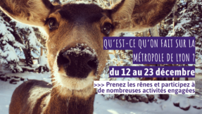 agenda décembre 12