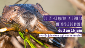 Bannière agenda engagé juin 1