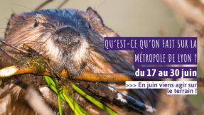 JUIN AGENDA É OKI