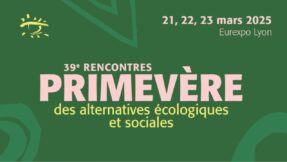 SITE WEB_enteteactus