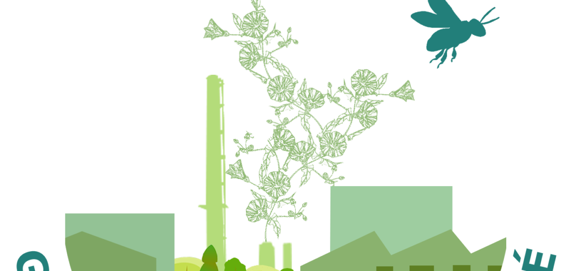 Graines-Bio-Divers-Cité_Logo