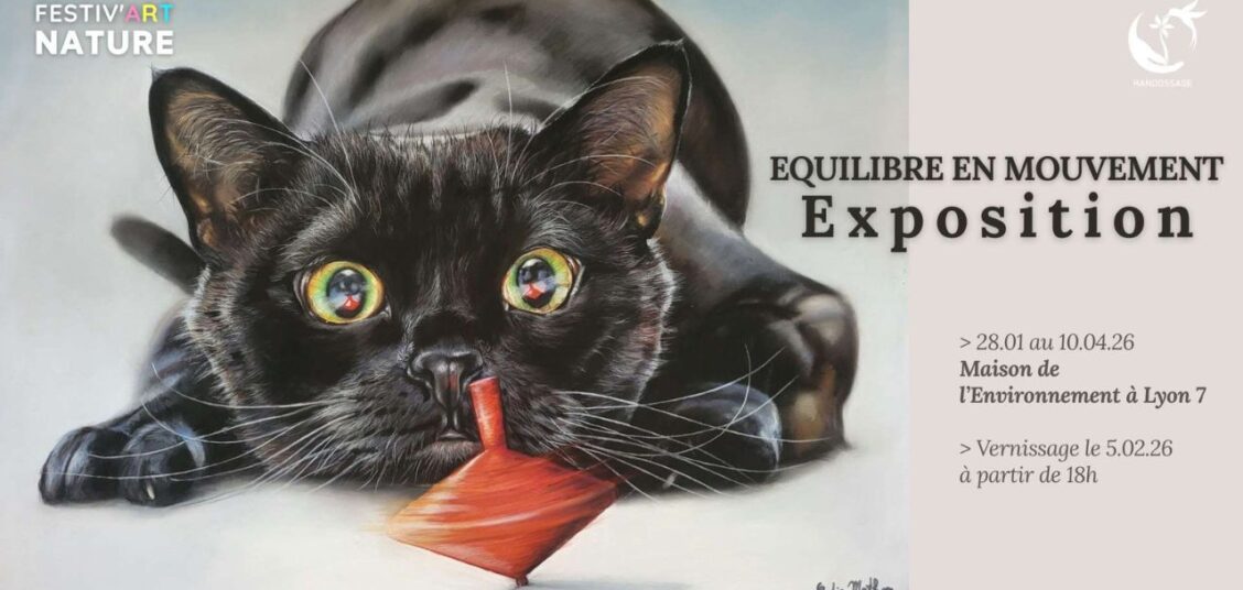 expo_equilibre_en_mouvement