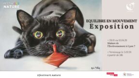 expo_equilibre_en_mouvement